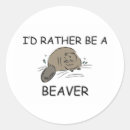 Zoek naar bevers stickers Dier