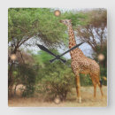 Recherche de girafe horloges Afrique