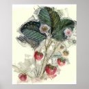 Recherche de les fraises art Jardinage