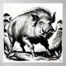 Zoek naar wild boar kunst Varkens