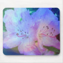 Recherche de rhododendron tapis souris Floral