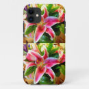 Recherche de cas rose Tropical