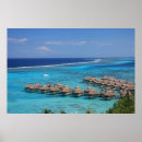Recherche de tahiti posters Moorea