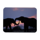 Recherche de parc national chobe magnets Crépuscule