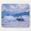 Recherche de les états unis tapis souris Noir