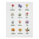 Zoek naar boeket bloemen posters Botanisch