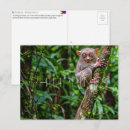 Recherche de tarsier posters Faune