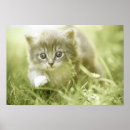 Zoek naar neem posters Schattig
