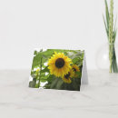 Zoek naar zonnebloemkaart kaarten Tuin