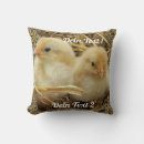 Recherche de poussin de pâques coussins Poulet