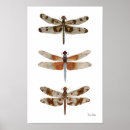 Recherche de espèces art Insecte