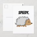 Zoek naar hedgehog briefkaarten Schattig
