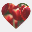 Zoek naar rode tulpen stickers Tuin