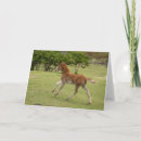 Recherche de cindy vœux cartes Ranch