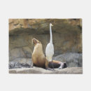 Recherche de otarie photographie Lion