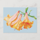 Recherche de de crayon cartes postales Pour elle