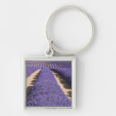 Recherche de provence porteclés Violet