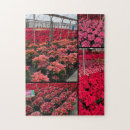 Zoek naar rode bloem puzzels Bloemen