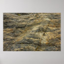 Zoek naar tree roots kunst Natuur