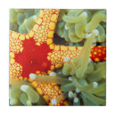 Recherche de mer rouge carreaux Vie marine