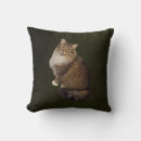 Recherche de maine coon coussins Animal de compagnie