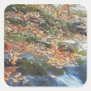 Recherche de ruisseau autocollants Nature