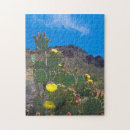 Recherche de poires puzzles Désert