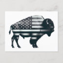 Zoek naar buffalo briefkaarten Rustisch