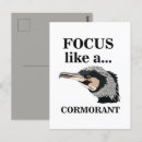 Recherche de cormoran cartes postales Faune