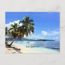 Recherche de dominicain cartes postales Palmiers