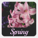 Recherche de hyacinthe autocollants Floral