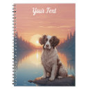 Recherche de springer spaniel Animaux domestiques