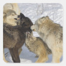 Zoek naar emotie stickers Romance