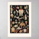 Recherche de china posters Illustration