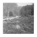 Recherche de nature carreaux Forêt