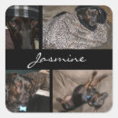 Recherche de dog photo autocollants Amoureux des chiens