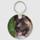 Recherche de akita porteclés Dog