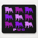 Recherche de carlins tapis souris Animal de compagnie