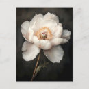 Recherche de peine cartes postales Poney