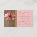 Recherche de coneflowers Marguerite