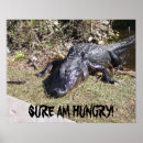Recherche de alligators posters Vitrage