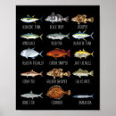 Zoek naar zoutwater vissen posters Oud