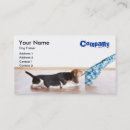 Recherche de chienchien cartes visite Chiot