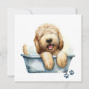 Zoek naar labradoodle dog kaarten Puppy