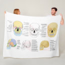 Recherche de crâne humain Anatomie humaine