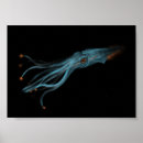 Recherche de bioluminescent art Mer profonde