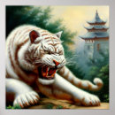 Recherche de tigre chinois posters Chine