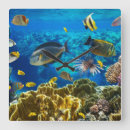 Recherche de poissons tropicaux horloges Animal