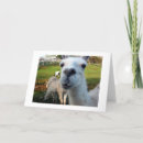 Zoek naar goofy kaarten Humor