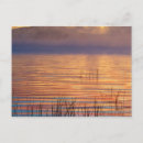 Recherche de paysage new york cartes postales États unis